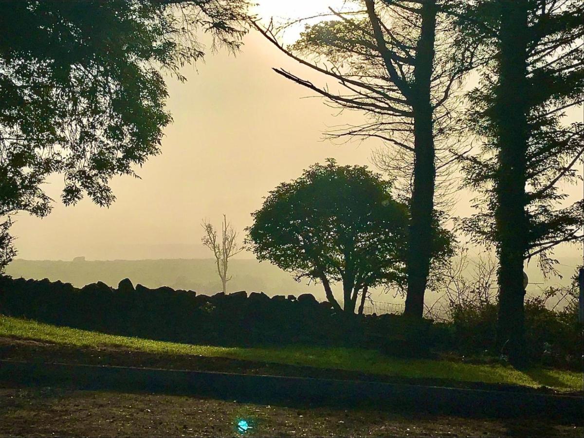 Birch Tree Cottage Westport Esterno foto